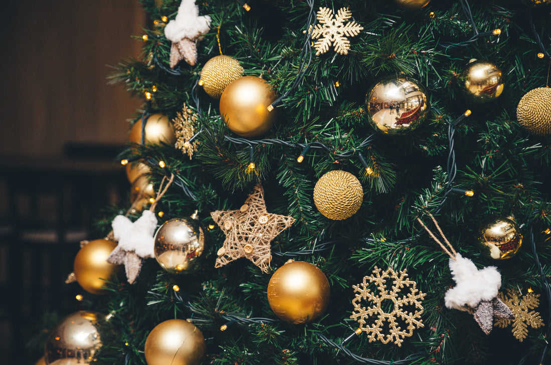 Christmas Gift Guide: Lifetime Gear