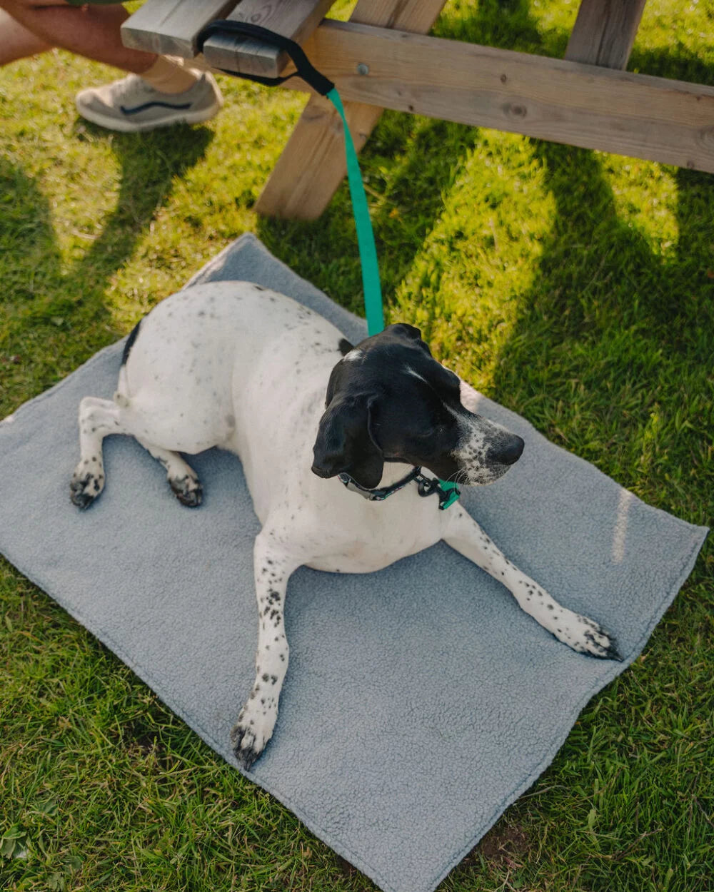 Comfort Sherpa Dog Mat