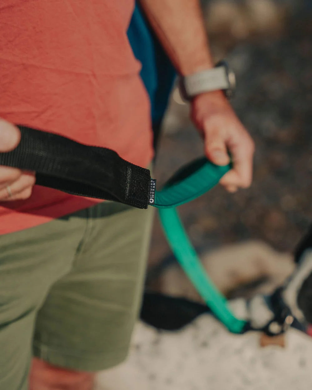 Padded Handled Webbing Dog Lead