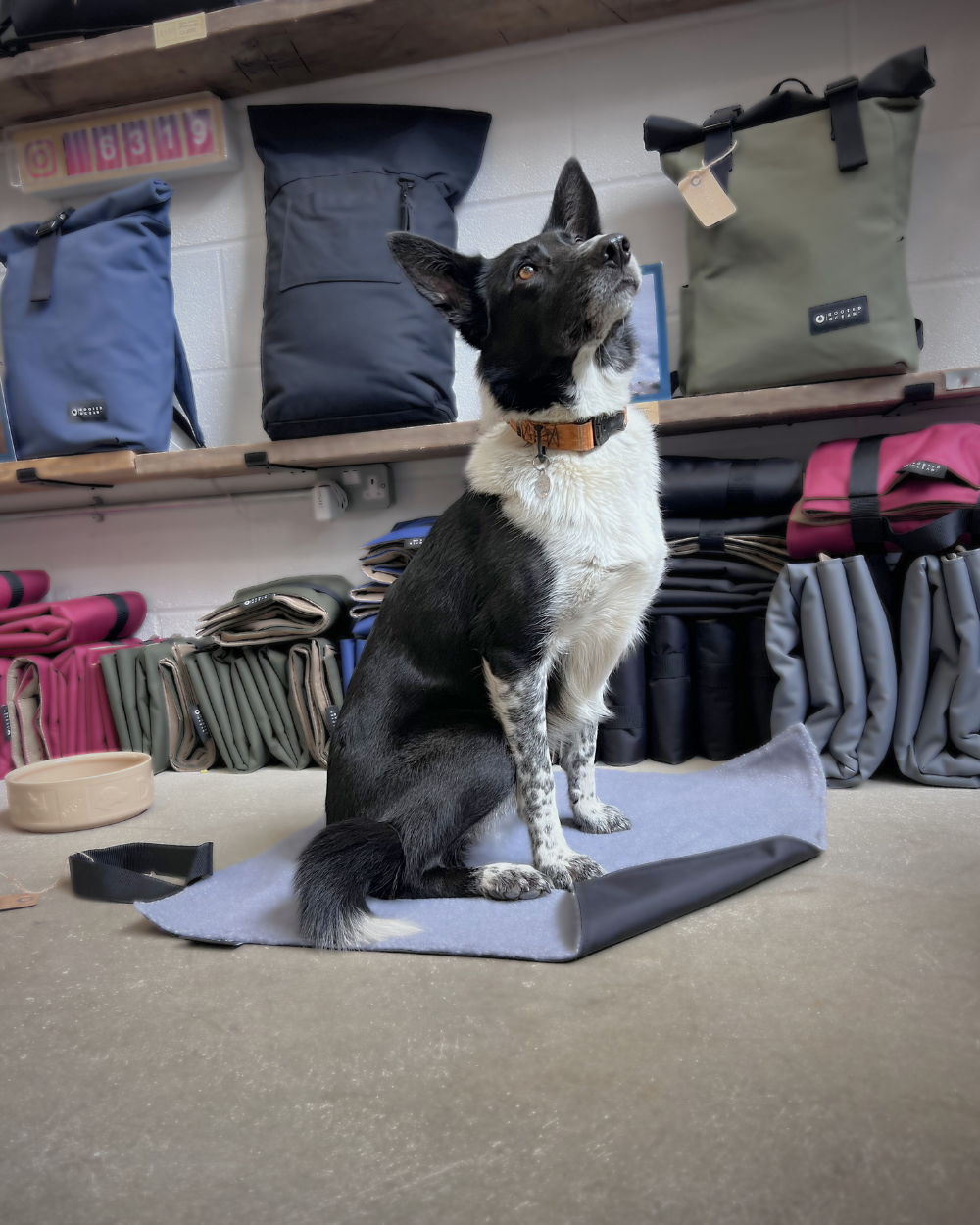 Compact Sherpa Dog Mat