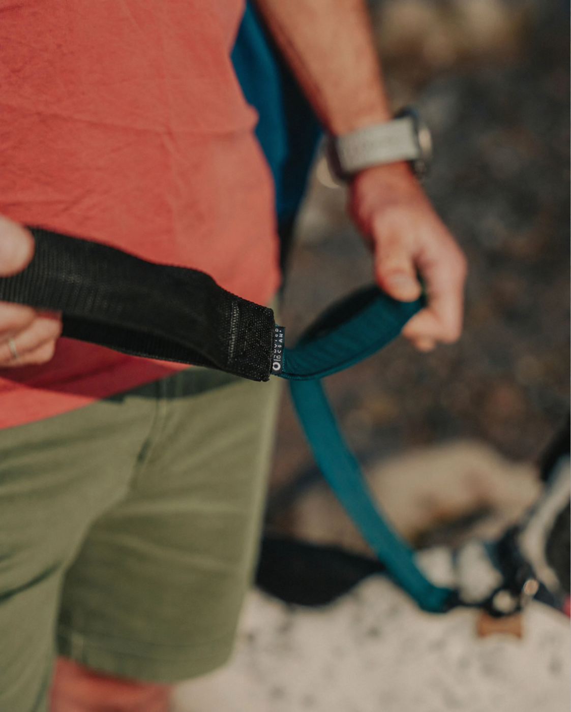 Padded Handled Webbing Dog Lead