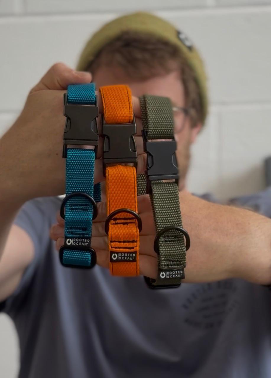 Rooted Ocean Webbing Dog Collar