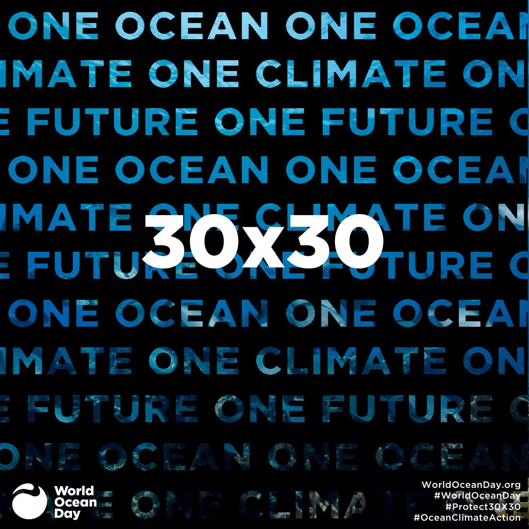 30x30 world ocean day blog rooted ocean
