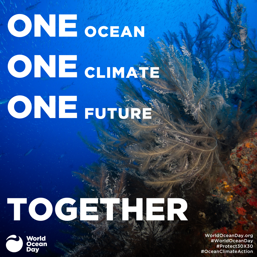 World Ocean Day 2022 One Climate