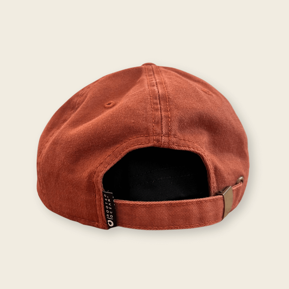 rooted_ocean_canvas_cap_back